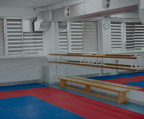 Зал для занятий каратэ и пилатесом в клубе Global Fitness, Чеканы